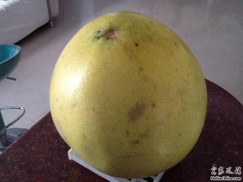 客家山区-赤枸1斗的柚子