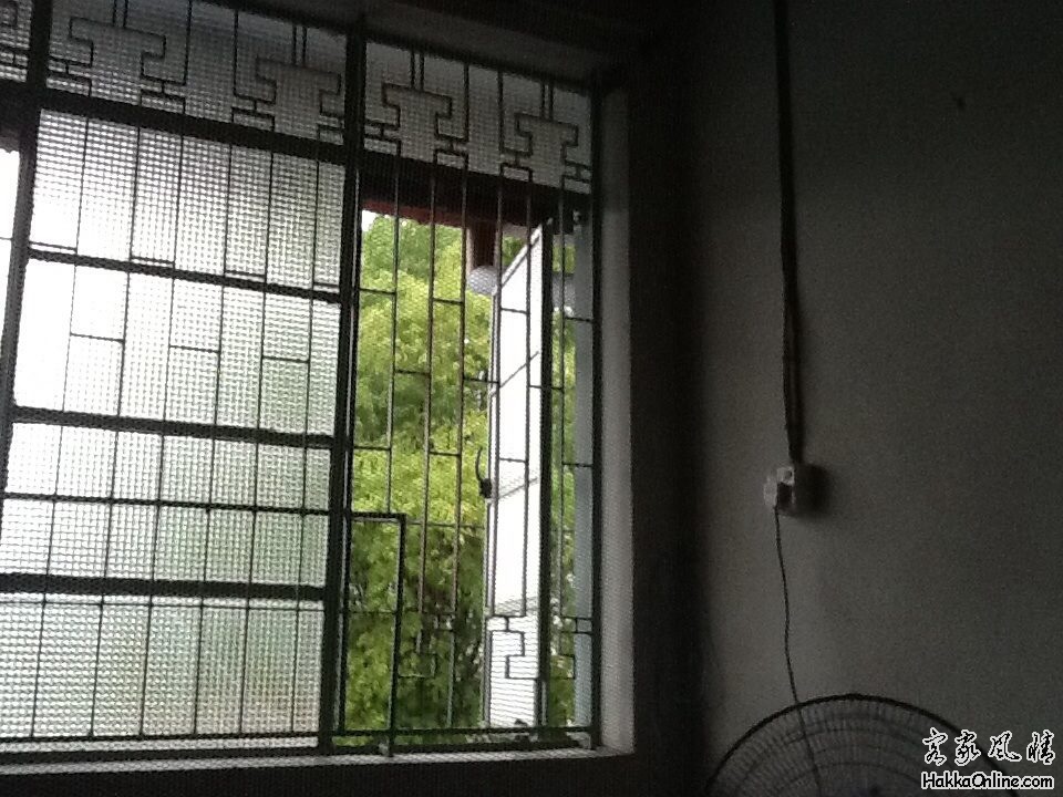 数十年來的一次闌風長雨后纱与窗外的一束竹林子!