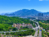 行走坪山｜黄果坜村：水畔生长的客家村落