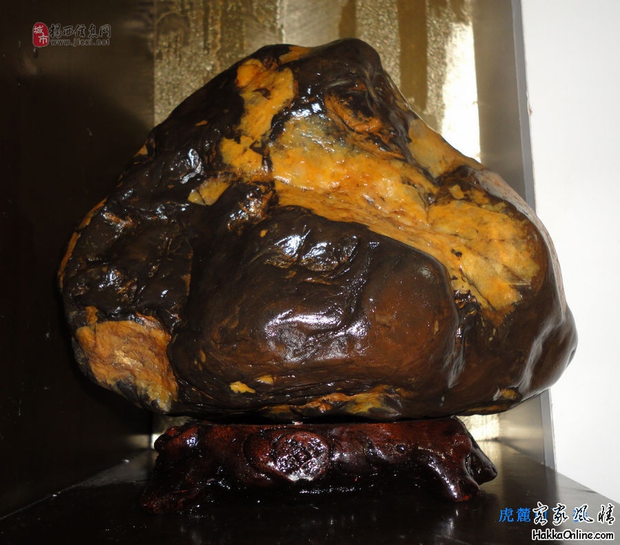nEO_IMG_DSC00830.jpg