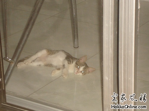 DSC05446.JPG