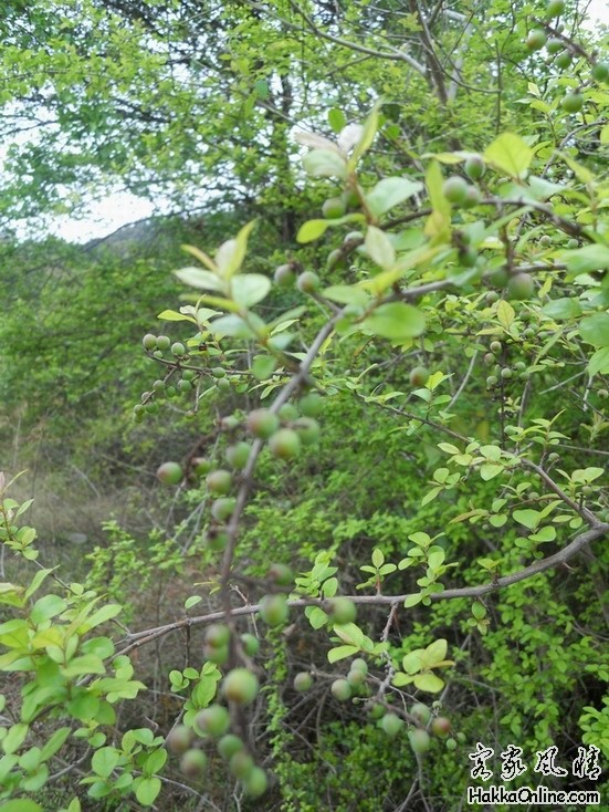 DSCN1924.jpg