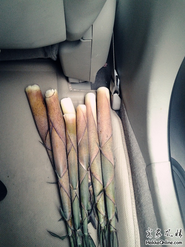 2013-03-25 15.36.19_副本.jpg