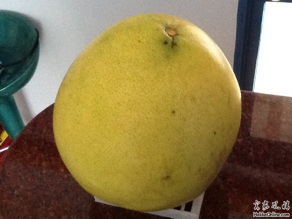 客家山区-赤枸1斗的柚子