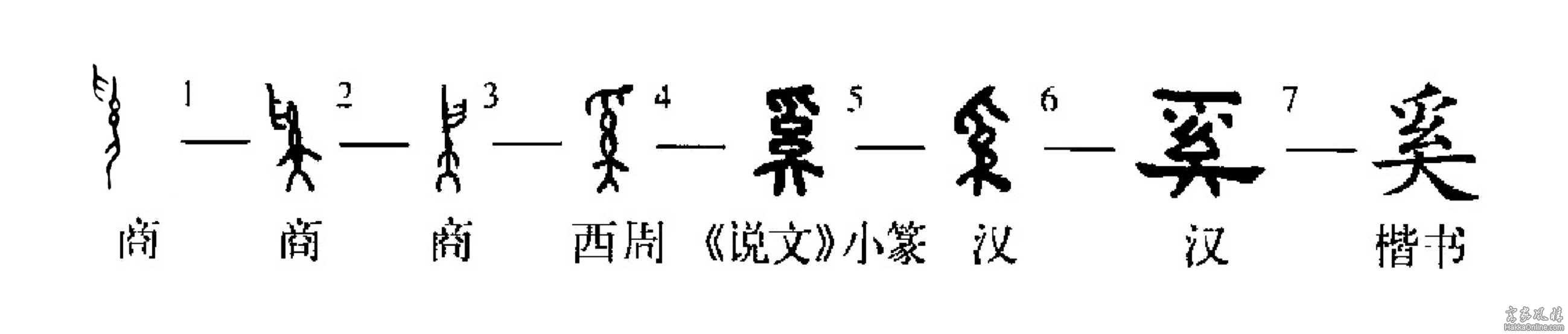 奚字演变.jpg