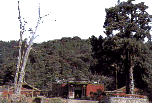 lgs4.gif