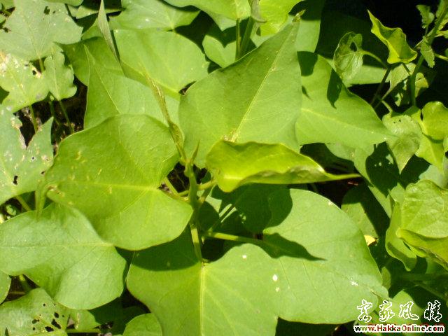 照 006.jpg
