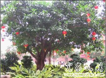 梅州00.jpg