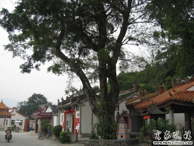 河婆过路塘