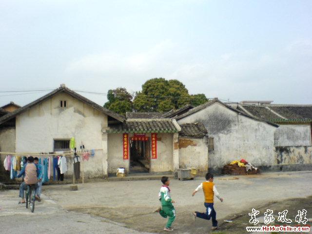 1 060.jpg