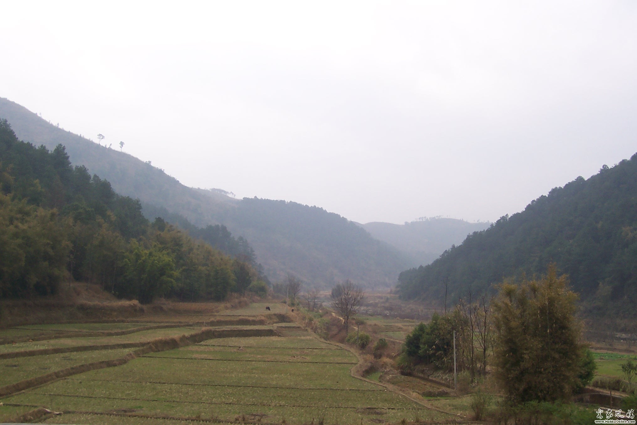 照片 048.jpg