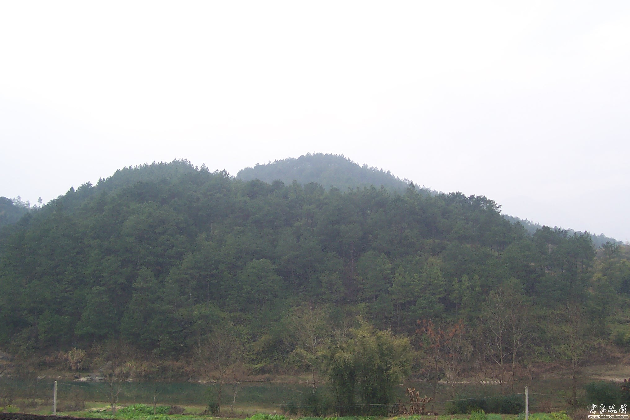 照片 043.jpg