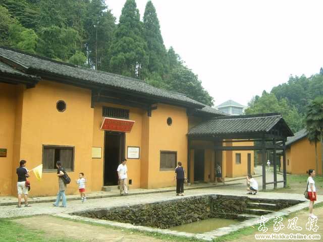 81200700.jpg