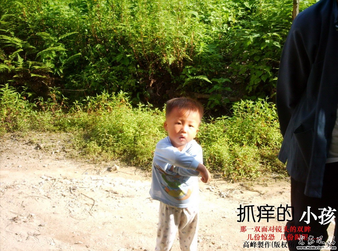 俺村比较穷,抓痒基本靠手.....