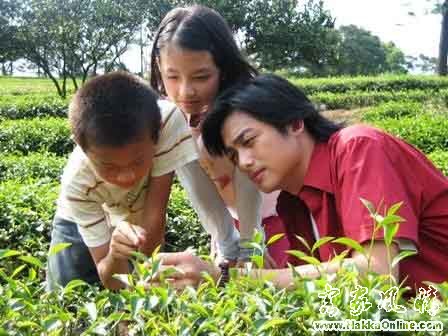 客家语电视剧《鲁冰花》各集精彩剧照