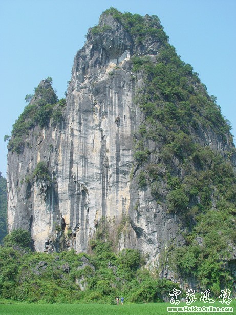20064393805.jpg