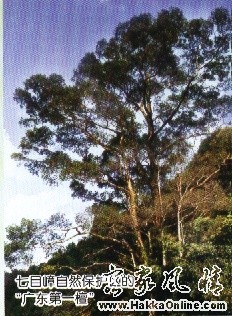 200629170845.jpg