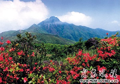 808picimg20060419143818.jpg