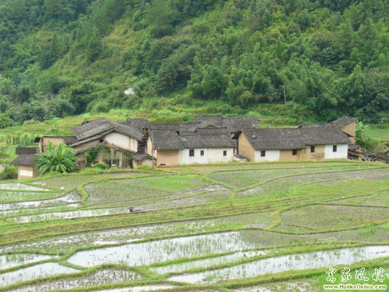 下洋
