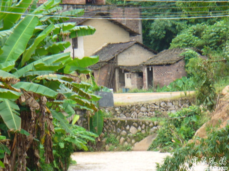 东洋