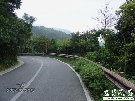 梧桐山风景