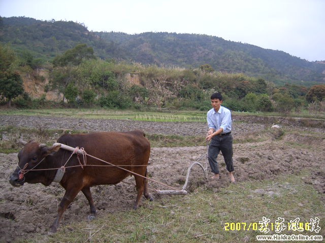 SUC55870.JPG