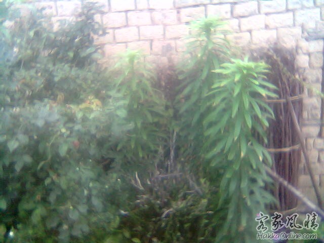 __026.jpg