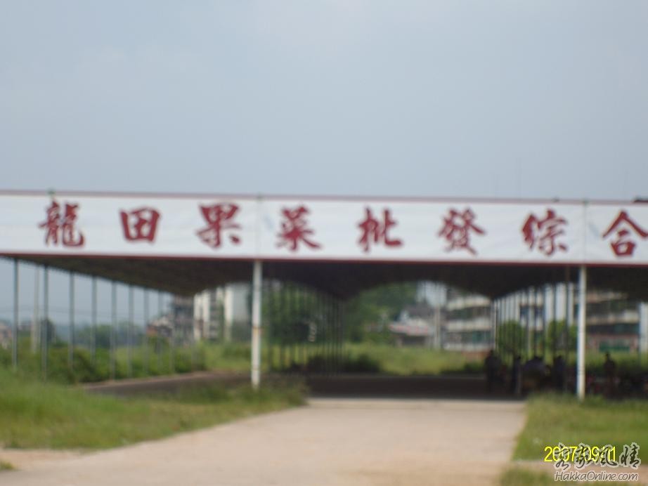 龙田-093.JPG