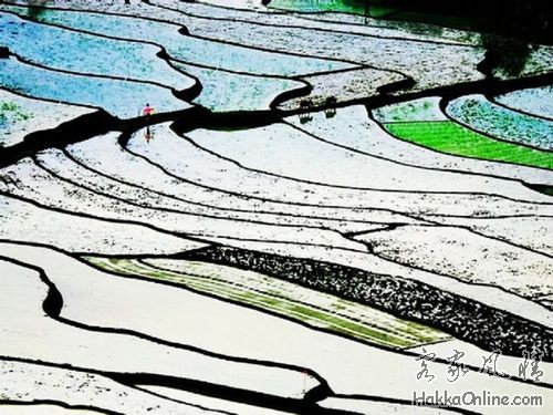 上堡梯田