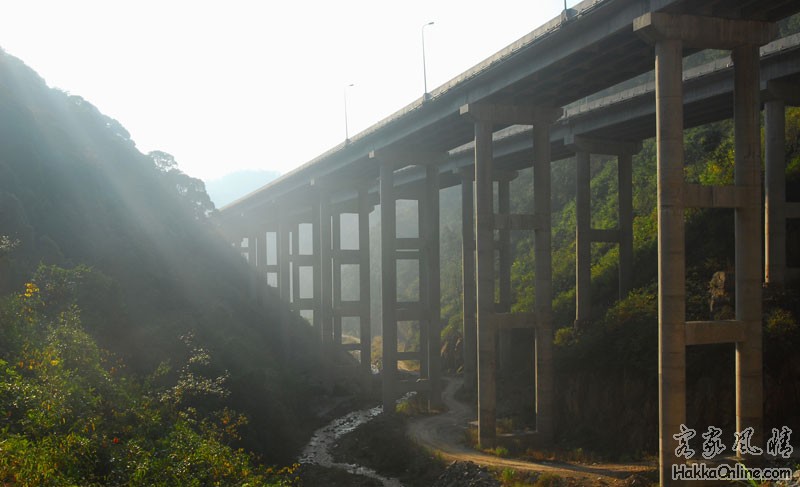 大桥沿谷布线