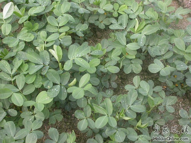 DSCN0267.JPG