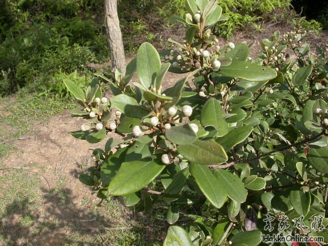 DSCN0435.JPG