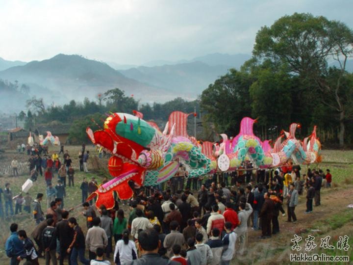 姑田大龙接龙情景.jpg