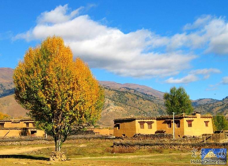 caochengaimama,200609139147.jpg