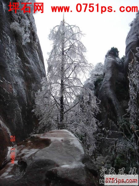 坪石雪景3.jpg