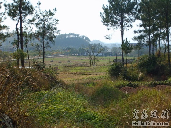 1250田野.jpg