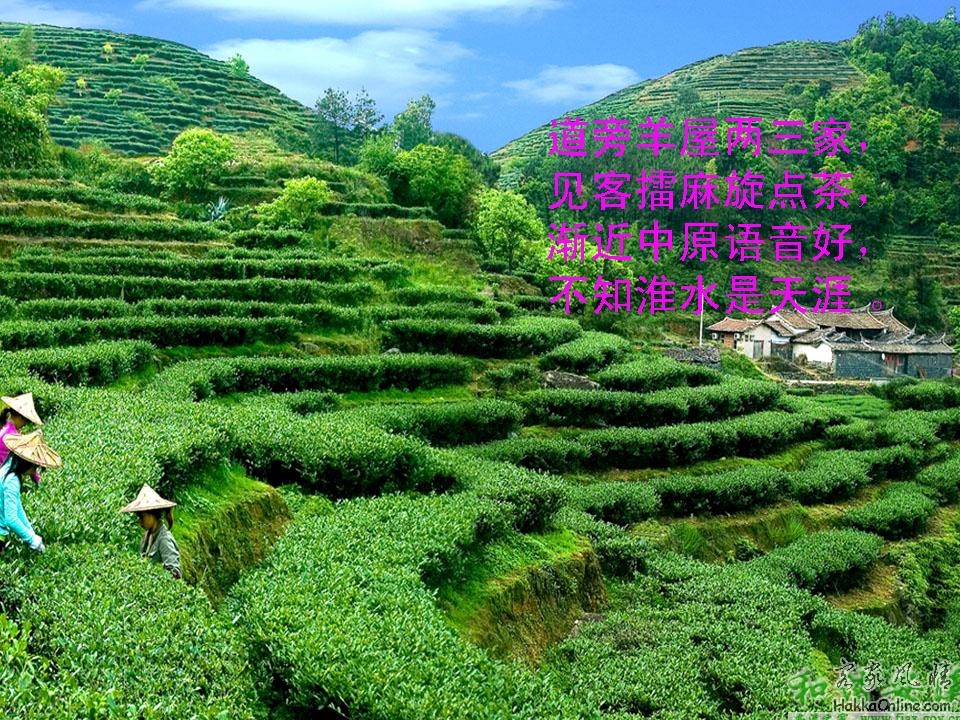 幻灯片43.JPG