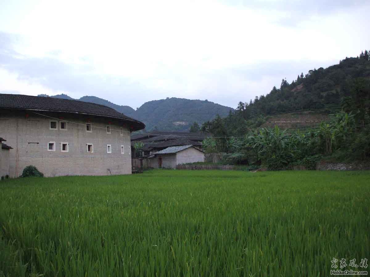 DSCF3243.jpg