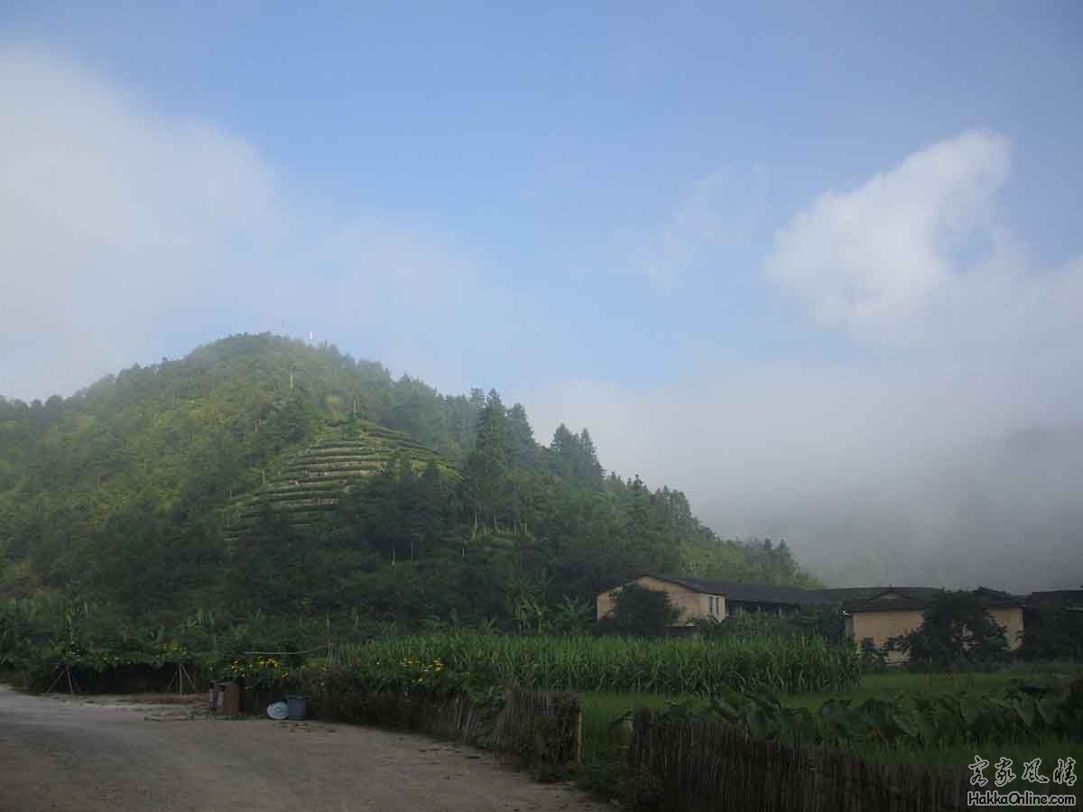 DSCF3273.jpg