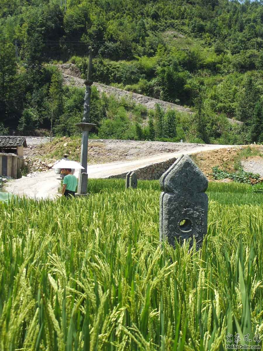 旋转 DSCF3313.jpg