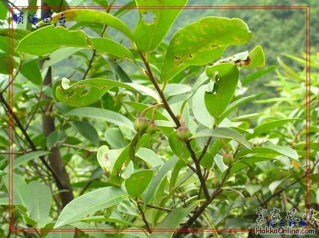 20080609_631405fe9db3ad4d0354eFZ16zyFvaGD.jpg
