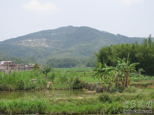 调整大小 山腰村.jpg