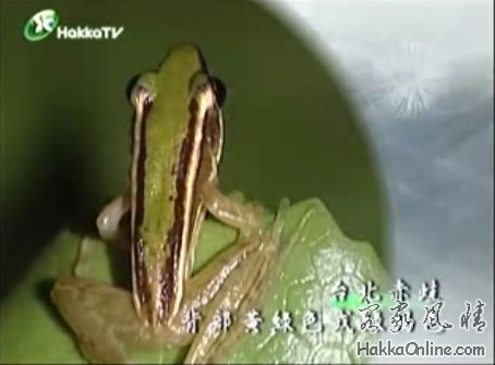 5D5CPPF}%3~`3X(YWLYR0O3.jpg