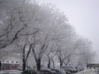 雪景