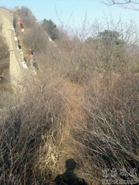 4月4日，登慕田峪长城（四）