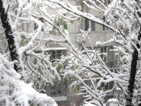 北京下雪了，这个冬天的第一场雪