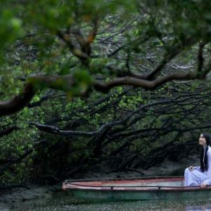 客家语电影《野莲香》简介