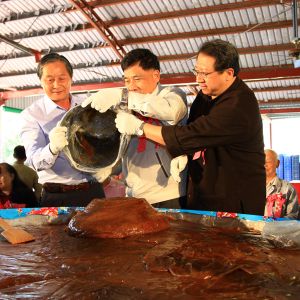 客家天穿日南投縣办祭典活动